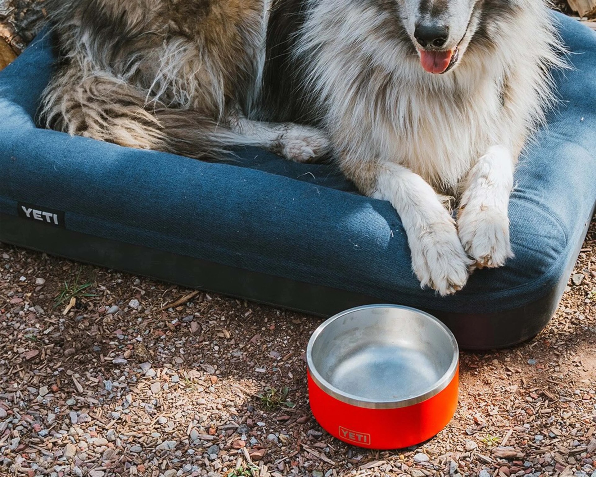 Red YETI stainless steel dog bowl filled with water on gravel next to a blue YETI dog bed with a fluffy dog lying on it.