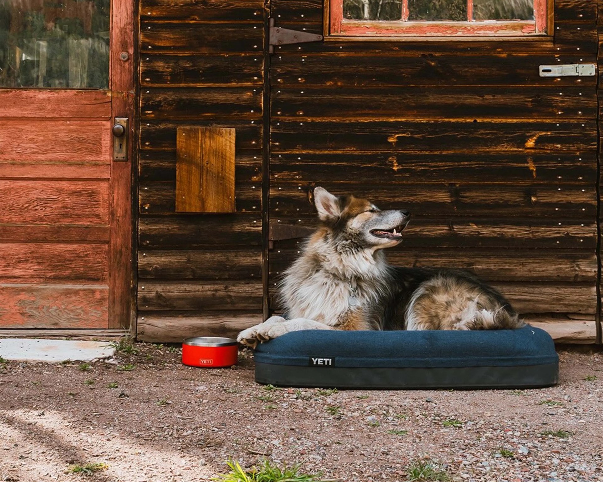 Fluffy dog lying on a blue YETI dog bed outside a rustic wooden cabin with a red YETI dog bowl nearby.